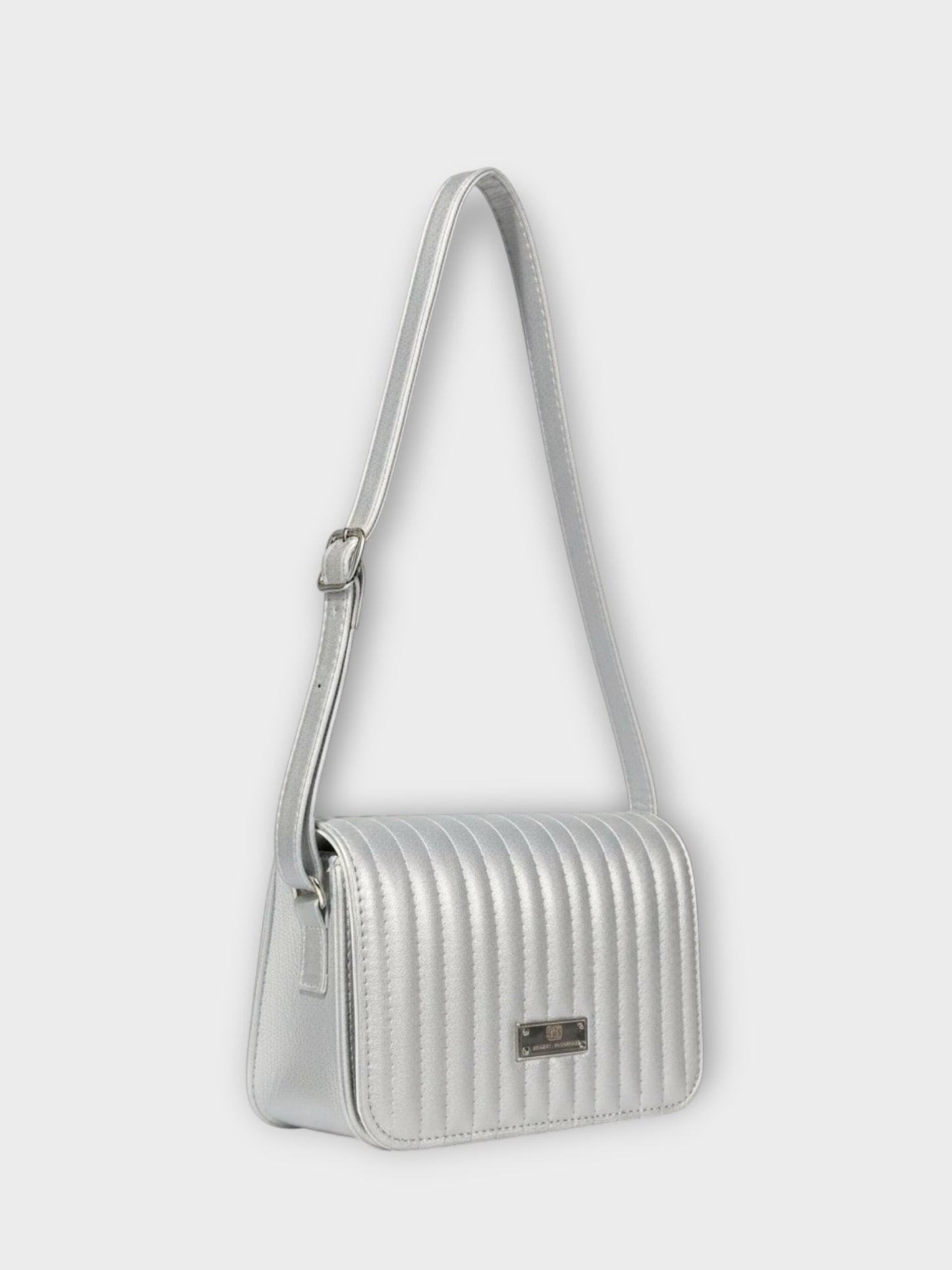 Bolso Baru Plateado